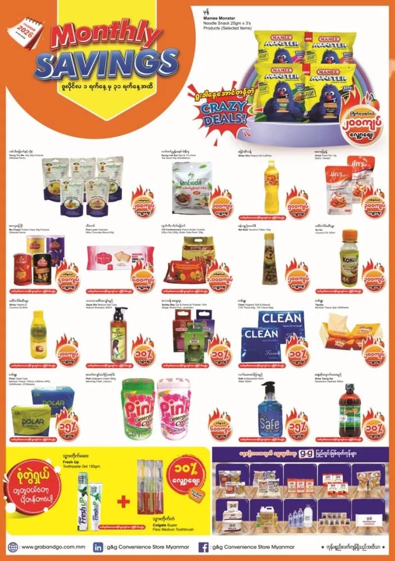 Monthly Savings