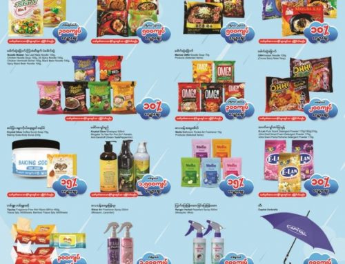 Monthly Savings