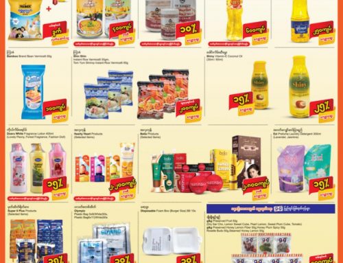 Monthly Savings